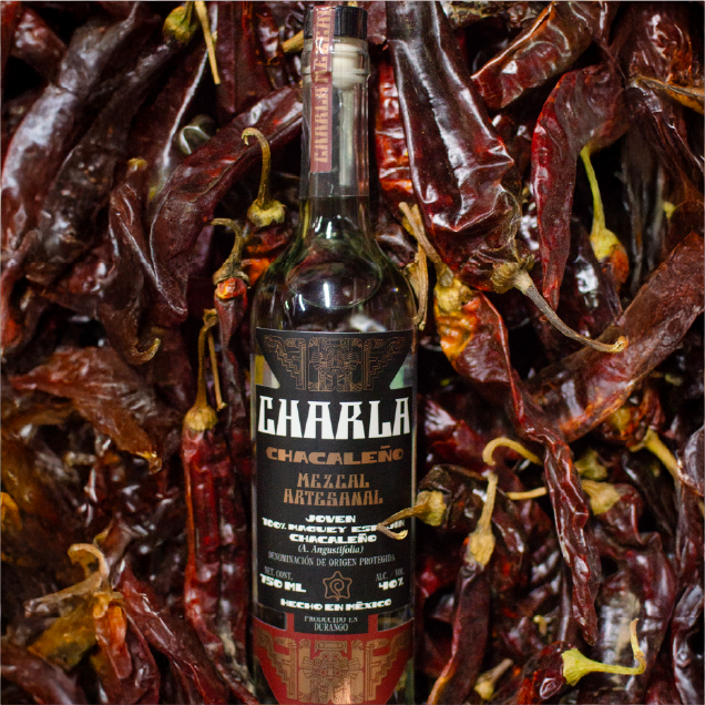 Mezcal Charla Galeria